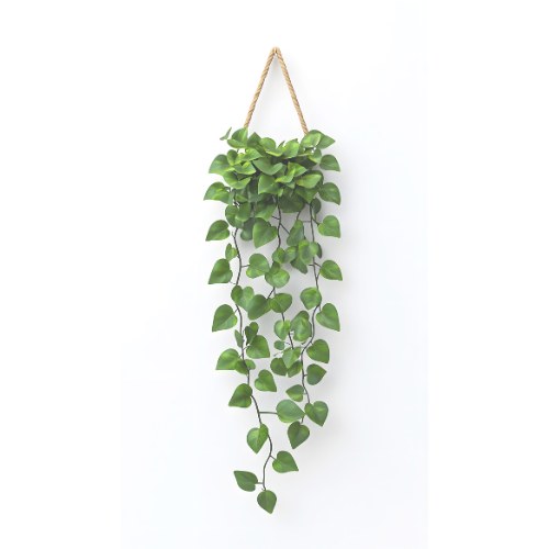 Blumenampel an der Wand ohne Bohren