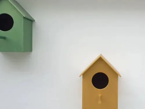 Zwei Vogelhäuser an einer glatten Wand